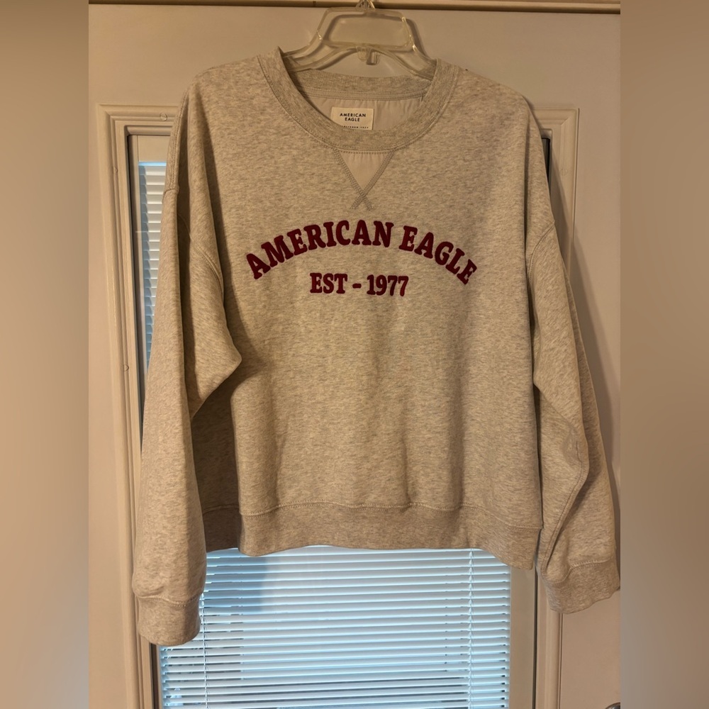 American Eagle Light Gray Hoodie - Picture 9 of 9